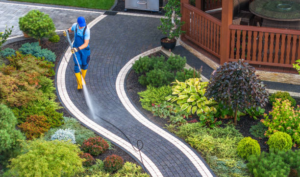 Best Best Pressure Washing Companies  in Cameron, TX